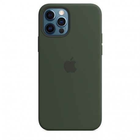 Чехол Apple iPhone 12/12 Pro Silicone Case with MagSafe Cyprus Green (MHL33)