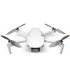 Квадрокоптер DJI Mini 2 (CP.MA.00000312.01)