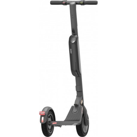 Електросамокат Ninebot by Segway E45E (AA.00.0002.22)