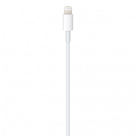 Кабель Apple USB-C to Lightning (1 м) (MX0K2) (No box)