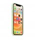 Чохол Apple iPhone 12/12 Pro Silicone Case with MagSafe Plum (MHL23)