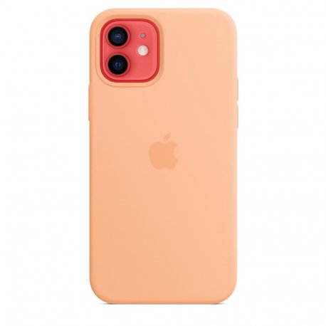 Чохол Apple iPhone 12/12 Pro Silicone Case with MagSafe Pistachio (MK003)