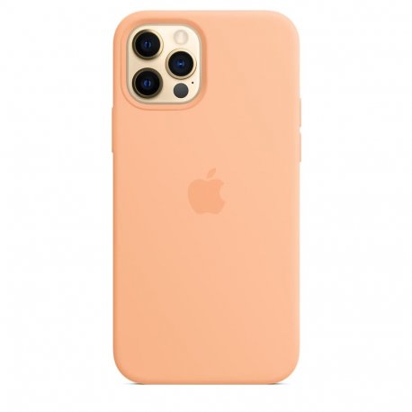 Чохол Apple iPhone 12/12 Pro Silicone Case with MagSafe Pistachio (MK003)