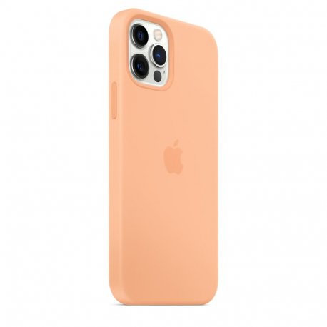 Чохол Apple iPhone 12/12 Pro Silicone Case with MagSafe Pistachio (MK003)