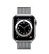 Apple Watch Series 6 40mm (GPS+LTE) Silver Stainless Steel Case with Silver Milanese Loop (M06U3/M02V3)