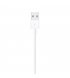 Кабель Apple Lightning to USB Cable (0.5m) (ME291)