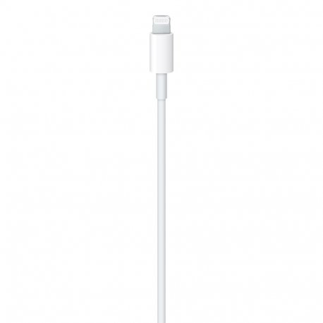 Кабель Apple USB-C to Lightning (1m) (MM0A3)