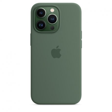Чохол Apple iPhone 13 Pro Silicone Case with MagSafe Eucalyptus (MN673)