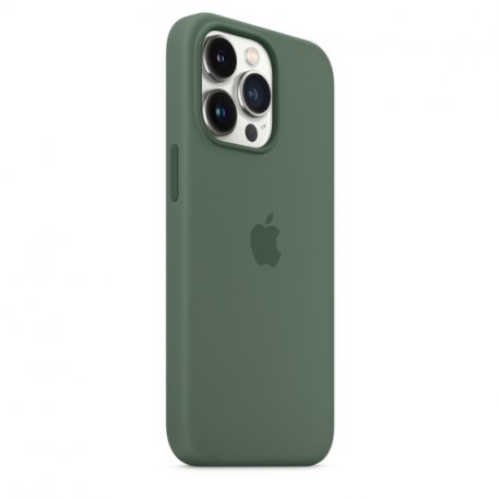 Чохол Apple iPhone 13 Pro Silicone Case with MagSafe Eucalyptus (MN673)