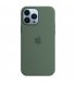 Чехол Apple iPhone 13 Pro Max Silicone Case with MagSafe Eucalyptus (MN6C3)