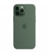 Чохол Apple iPhone 13 Pro Max Silicone Case with MagSafe Eucalyptus (MN6C3)