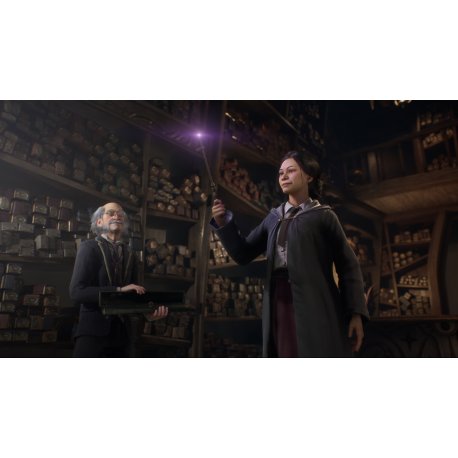 Гра Hogwarts Legacy. Deluxe Edition (Xbox Series X, eng мова)