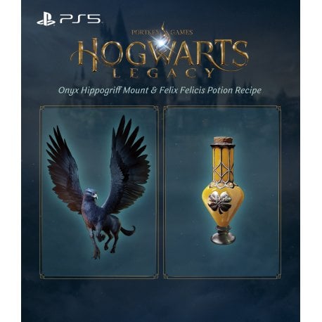 Гра Hogwarts Legacy (PS5, eng мова)