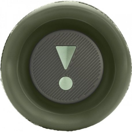 Портативная акустика JBL Flip 6 Squad (JBLFLIP6SQUAD)