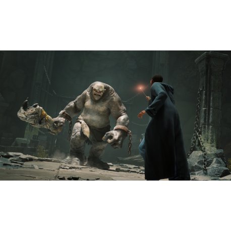 Гра Hogwarts Legacy. Deluxe Edition (PS4, eng, rus субтитри)