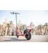 Электросамокат Segway-Ninebot D28E Black/Red (AA.00.0012.08)