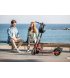 Электросамокат Segway-Ninebot D28E Black/Red (AA.00.0012.08)