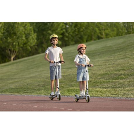 Электросамокат Segway-Ninebot C8 White (AA.00.0011.61)