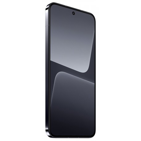 Xiaomi 13 12/256GB Black (EU)