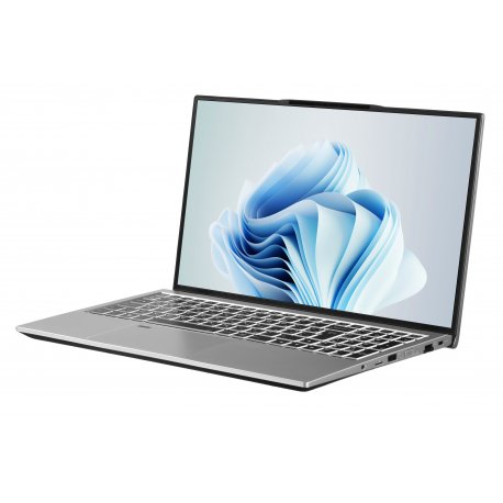 Ноутбук 2E Complex Pro 15 Silver (NS51PU-15UA50)