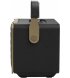 Портативная акустика JBL Authentics 300 Black (JBLAUTH300BLKEP)