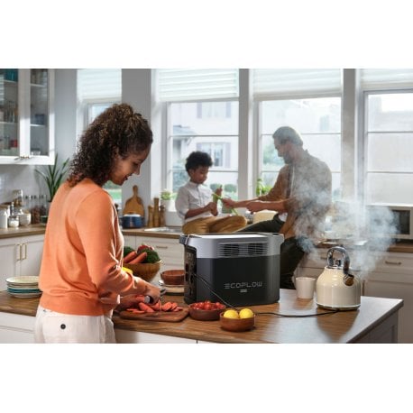 Портативная зарядная станция EcoFlow DELTA 2 Max, 2400W/2048Wh EU