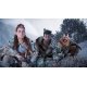 Гра Horizon Zero Dawn. Forbidden West: Complete Edition (PS5, rus мова)