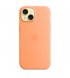 Чехол Apple iPhone 15 Silicone Case with MagSafe Orange Sorbet (MT0W3)