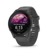 Смарт-годинник Garmin Forerunner 255 Basic Slate Gray (010-02641-10/00) EU