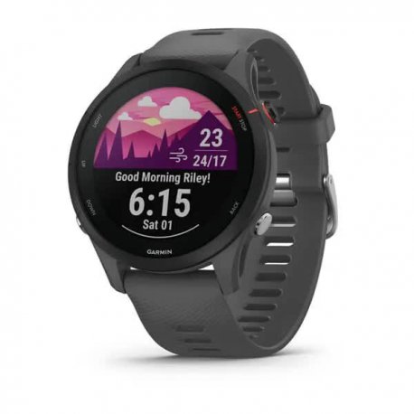 Смарт-годинник Garmin Forerunner 255 Basic Slate Gray (010-02641-10/00) EU