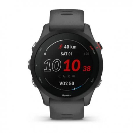 Смарт-часы Garmin Forerunner 255 Basic Slate Gray (010-02641-10/00) EU