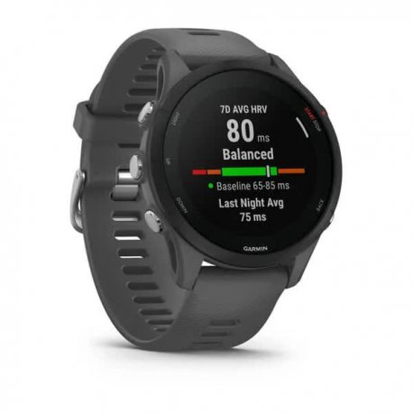 Смарт-часы Garmin Forerunner 255 Basic Slate Gray (010-02641-10/00) EU