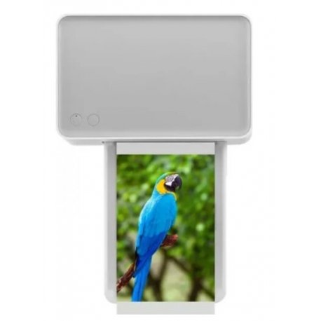 Фотопринтер Xiaomi Instant Photo 1S Set (BHR6747GL)