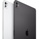 Apple iPad Pro (M4) 2024 11" 1TB Wi-Fi+4G with Nano-texture glass Space Black (MWRP3)
