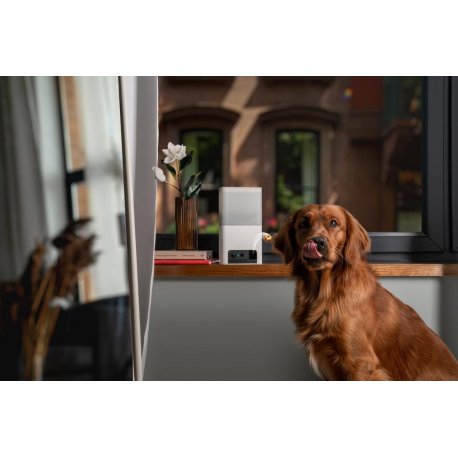 Умная камера видеонаблюдения для животных Petcube Bites 2 Lite (BL10US)