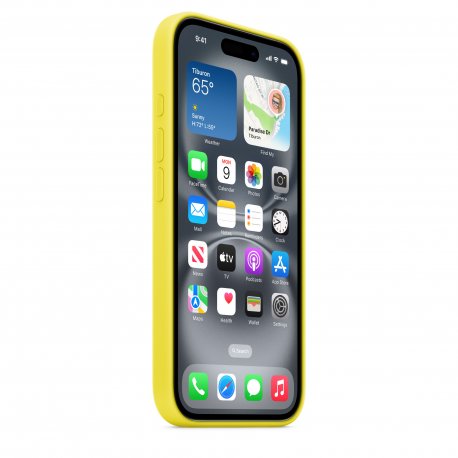 Чехол Apple iPhone 16 Silicone Case with MagSafe Star Fruit (MYY73)