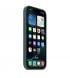 Чохол Apple iPhone 16 Pro Silicone Case with MagSafe Lake Green (MYYR3)