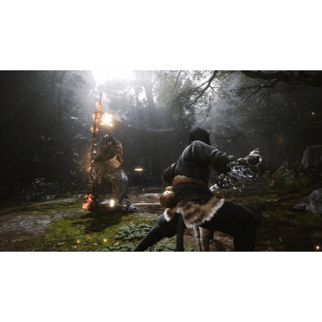 Гра Black Myth: Wukong (PS5, eng, rus субтитри)