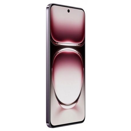OPPO Reno 12 Pro 12/512GB Nebula Black