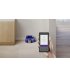 Робот-пилосос для сухого прибирання Dyson 360 Vis Nav Robot Vacuum Blue/Nickel (304623-01) EU
