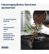Кавомашина Delonghi ECAM 310.60 GB Magnifica Evo Next