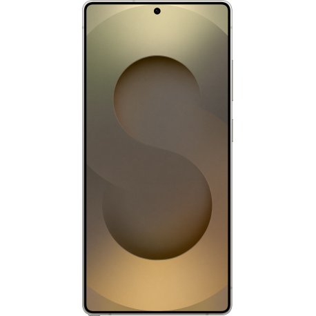Samsung Galaxy S25 Ultra 12/256GB Titanium Grey (SM-S938BZTDEUC)