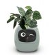 Интерактивный умный горшок для растений Ivy Smart Planter Tuya AI Green Интерактивный умный горшок для растений Ivy Smart Planter Tuya AI Green