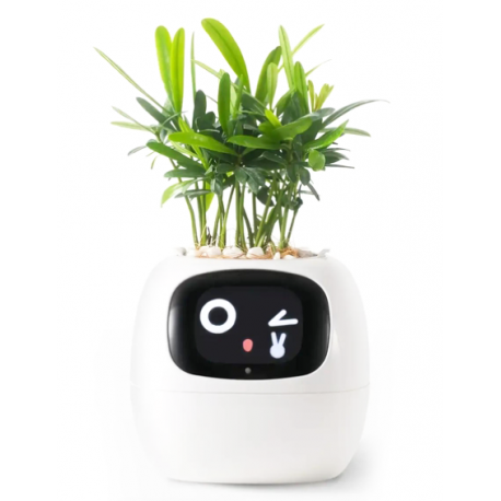 Інтерактивний розумний горщик для рослин Ivy Smart Planter Tuya AI White
