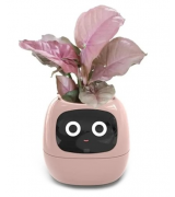 Интерактивный умный горшок для растений Ivy Smart Planter Tuya AI Pink