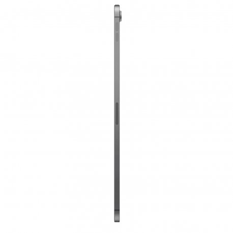 Apple iPad Air (M3) 2025 11" 256GB Wi-Fi+4G Space Gray (MCG04)