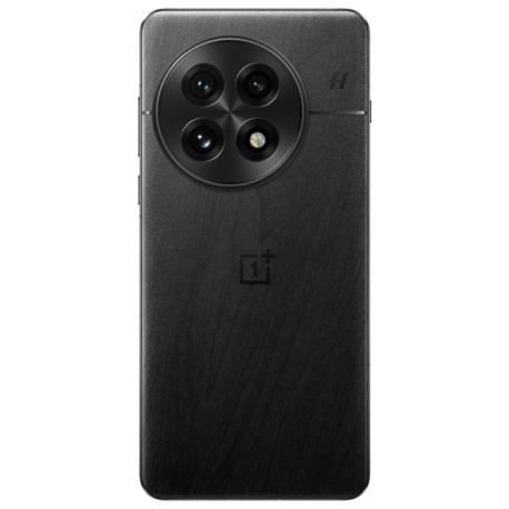 OnePlus 13 12/256GB (PJZ110) Black (CN)