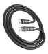 Кабель Hoco U118 USB-Type-C 100W Black