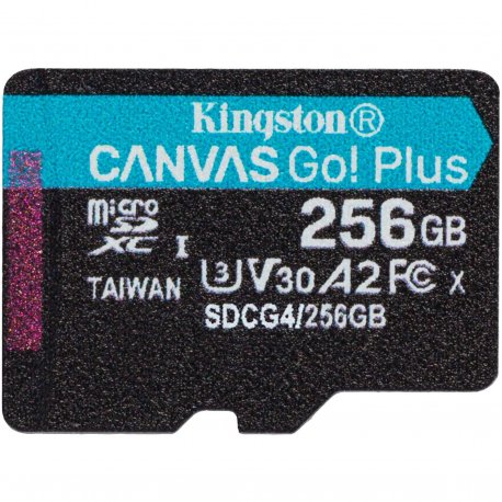 Карта пам'яті Kingston Canvas Go Plus microSD 256GB C10 UHS-I R200MB/s (SDCG4/256GB)