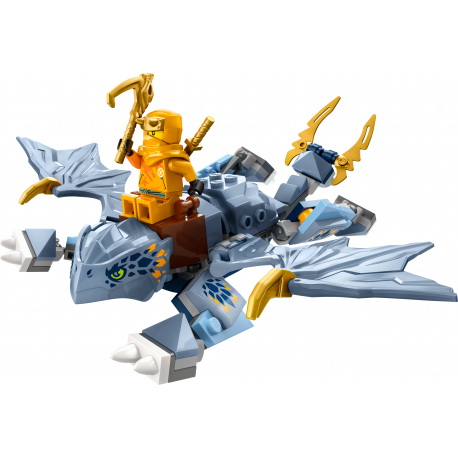 Конструктор LEGO Ninjago Молодой дракон Рию (71810)